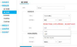 胖AP功能介绍-网络配置4